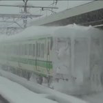 パネェ新潟の雪に対する強さをご覧ください!