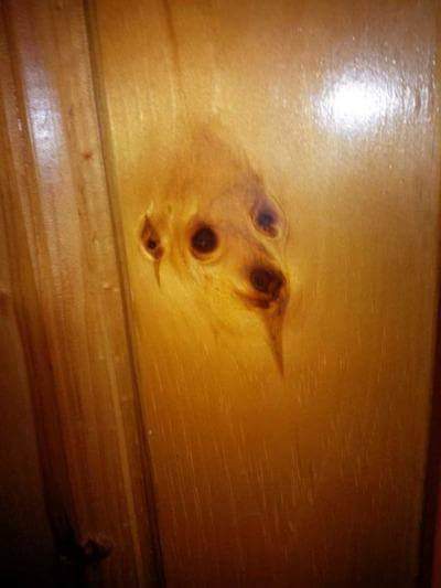 luanlovato's tweet photo. sera q os dog vê essa imagem e também sai espalhando pros outros dog q é milagre q viu jesus dos dog na madeira??? https://t.co/3tMtKEy9z0