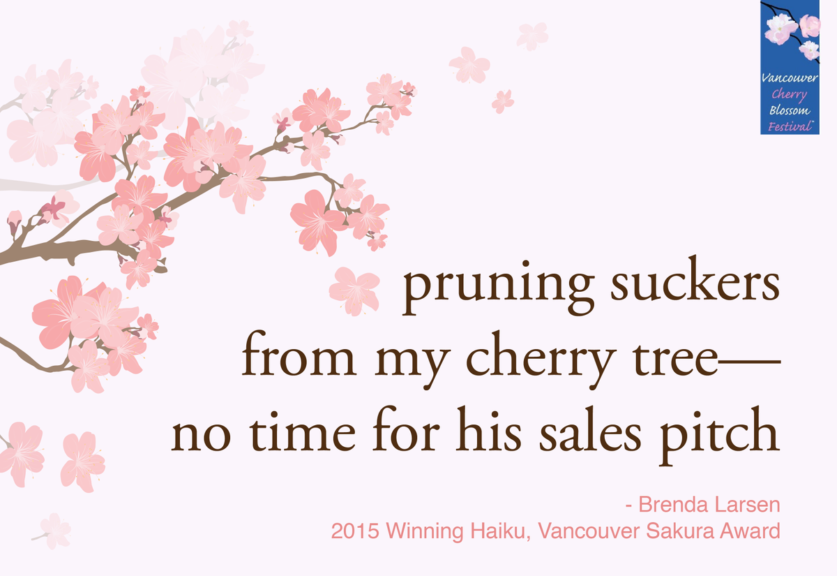 OfficialVCBF's tweet photo. #SundayHaiku by #vcbf2015 Sakura Award-winner Brenda Larsen from Port Coquitlam, British Columbia. #haiku https://t.co/vwxJX91qNb