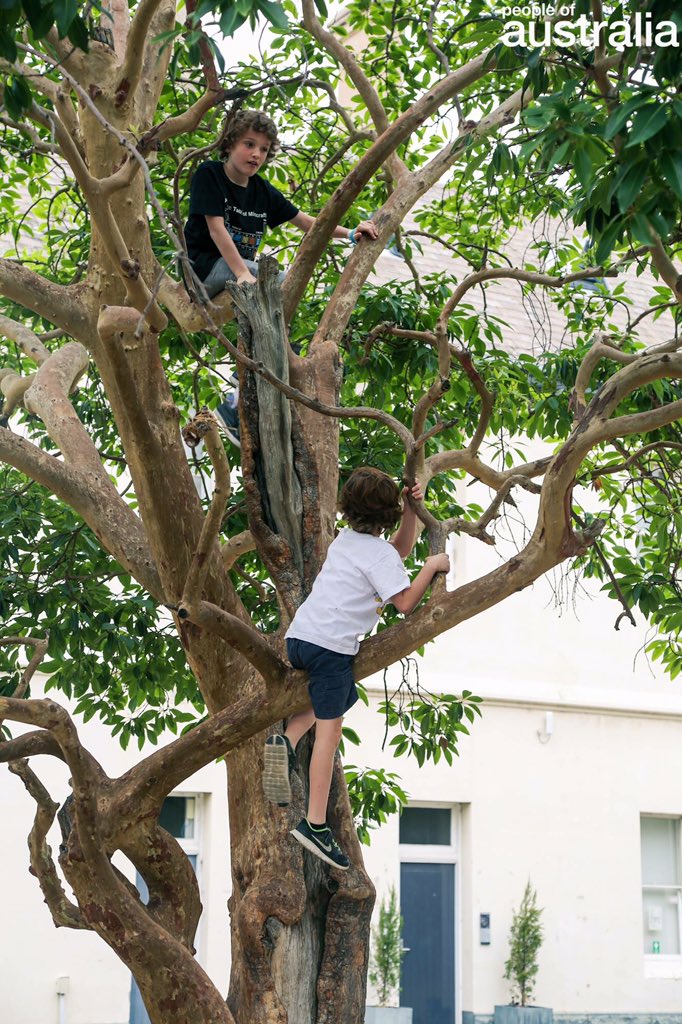 Explorers climbing the trees in Abbotsford, VIC. #peopleofaus #visitmelb #travel #theconvent facebook.com/photo.php?fbid…