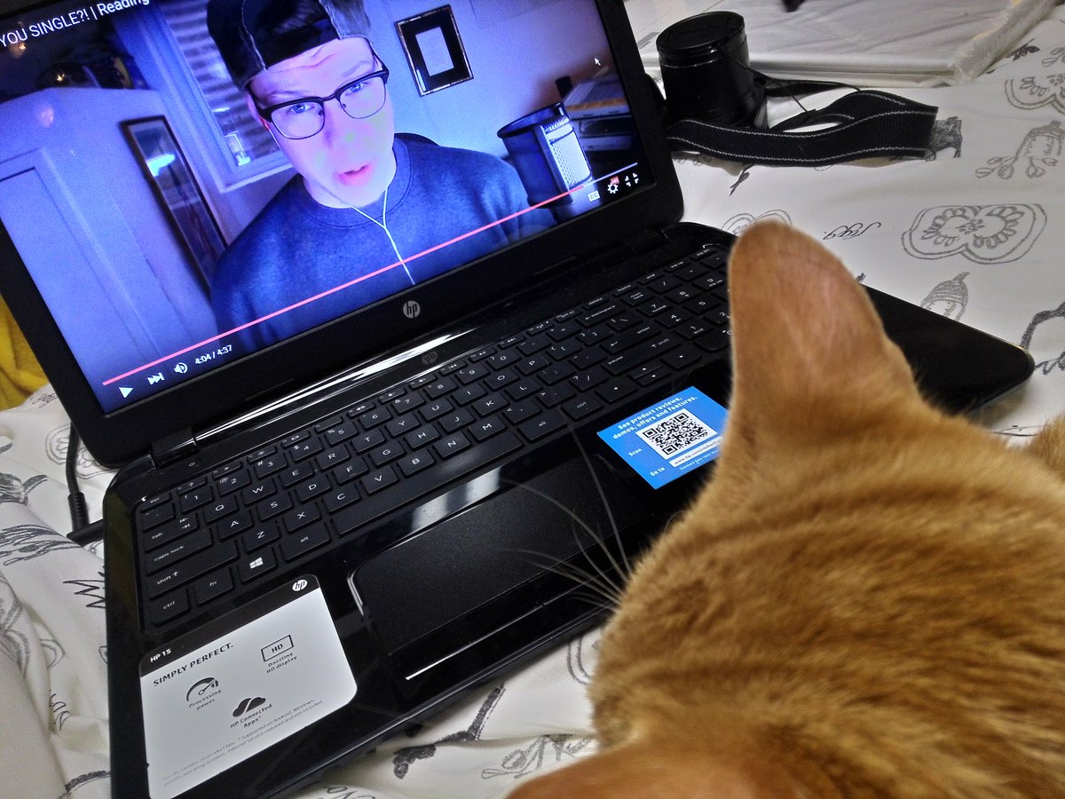 lilyisluvable's tweet photo. @SeeDeng_ my cat loves you. he always lays by me when i play your vids c'x https://t.co/yV2Bn9ZHNF