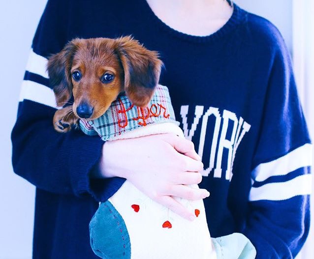 you rock my socks tweet media