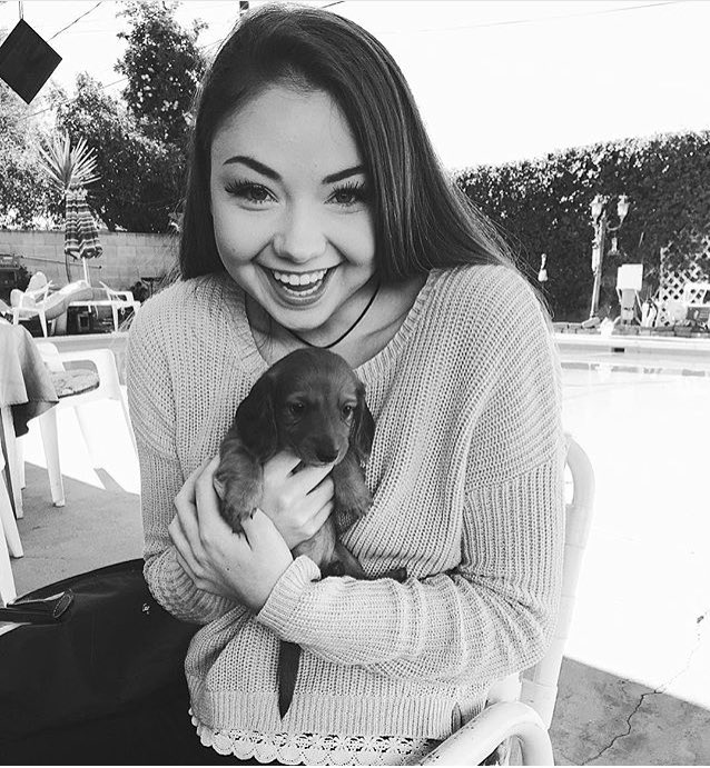 you rock my socks tweet media