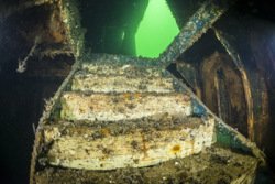 Aerosund: Versenktes Fährschiff ist zum künstlichen Riff geworden: buff.ly/1Zvea8n