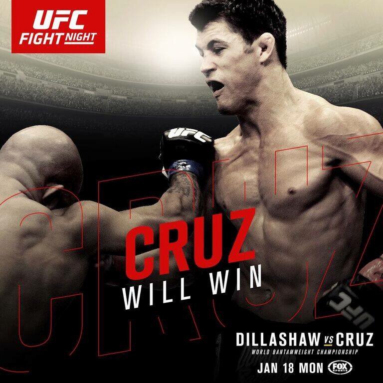 UFC Aus/New Zealand on Twitter "RT if TheDomin8r WILL WIN UFCBoston
