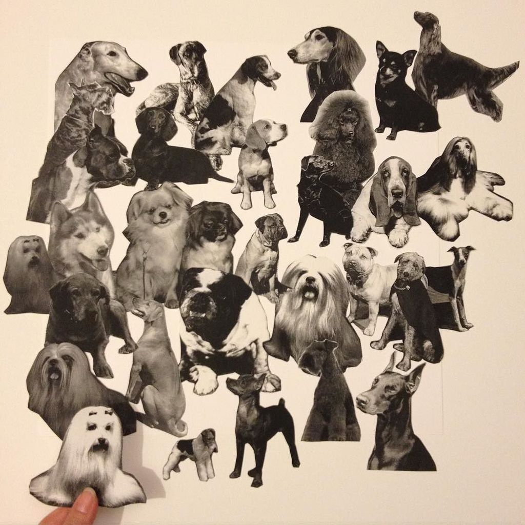 I just found all these cut out #blackandwhite #photocopies of #dogs #studiocleanup #xerox #somuchstuff