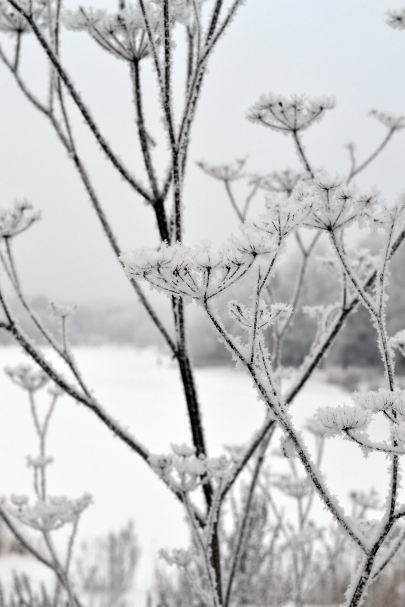 olesya_udalova's tweet photo. Мой городок, утро.. #Красоты_России #РусскаяЗима #зима #winter #Russian_Winter https://t.co/E9mzbAhPWb
