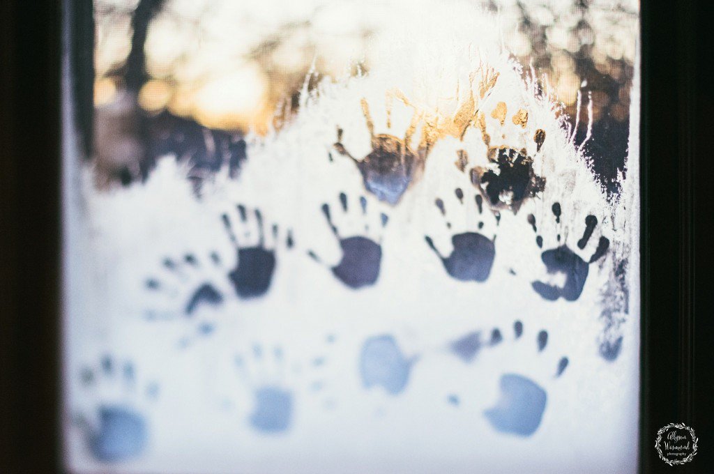 mgph0t0graphy's tweet image. RT  P52 | Cold inbeautyandchaos.com/p52-cold/ #photography #photographyfeature #p52 #photography…