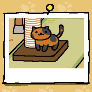 michaelthomson's tweet photo. #ねこあつめ https://t.co/ApwbPyDWgU