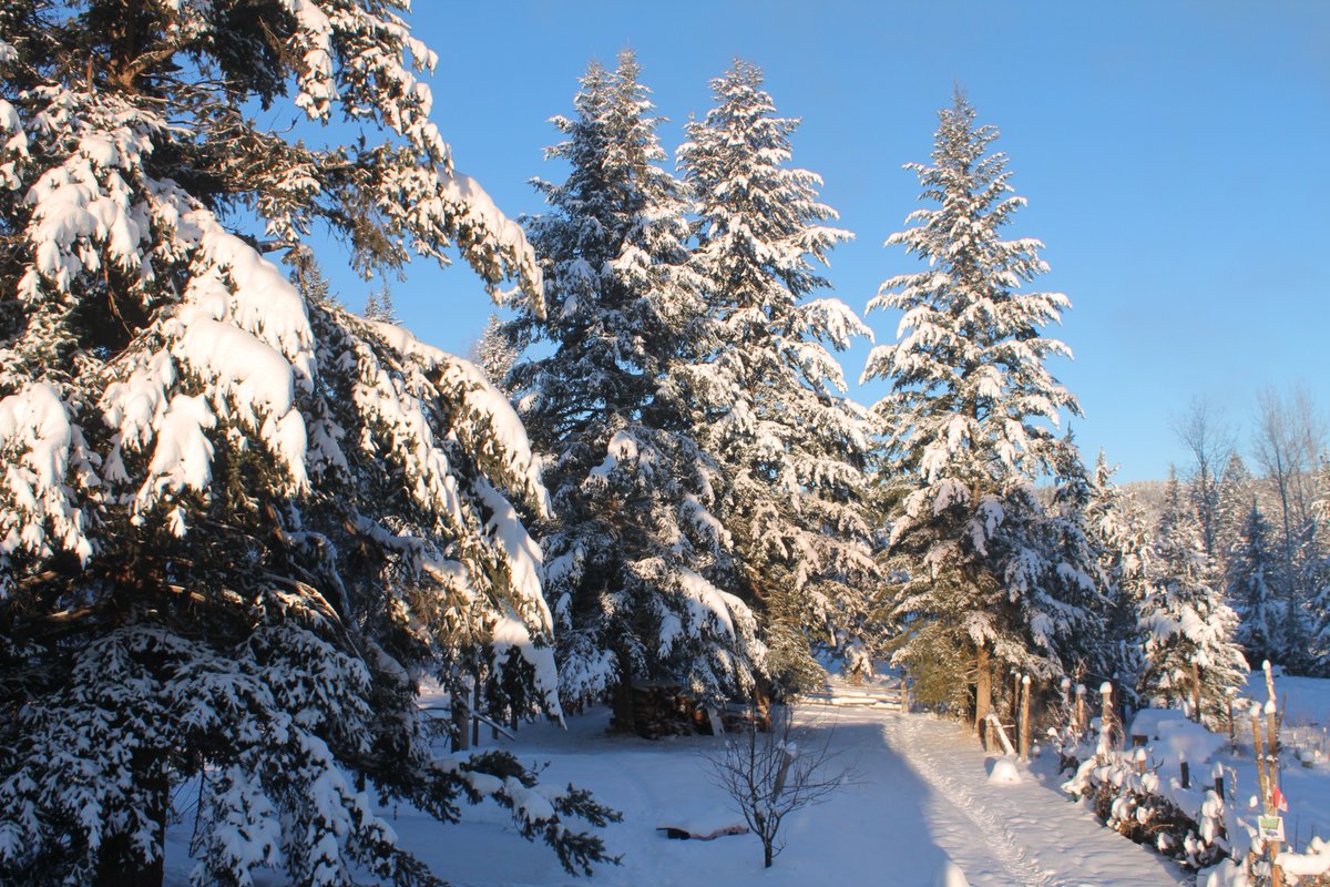 Is that true? I'm in twitter since 2012 and this is my very first tweet only now.