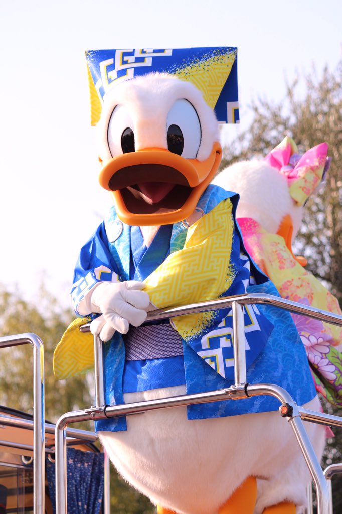 K_zrdn's tweet photo. 今更だけど、ニューイヤーズグリーティングのドナちゃん(⸝⸝´⚰`⸝⸝)💕初めて見たけど近いし低いし着物超可愛いしめでたいし最高でした…。
二枚目は、私が手拍子に夢中でせっかくポーズ決めてくれたドナちゃんを撮り損ねた時の（笑） https://t.co/upxGPtJ6Rc