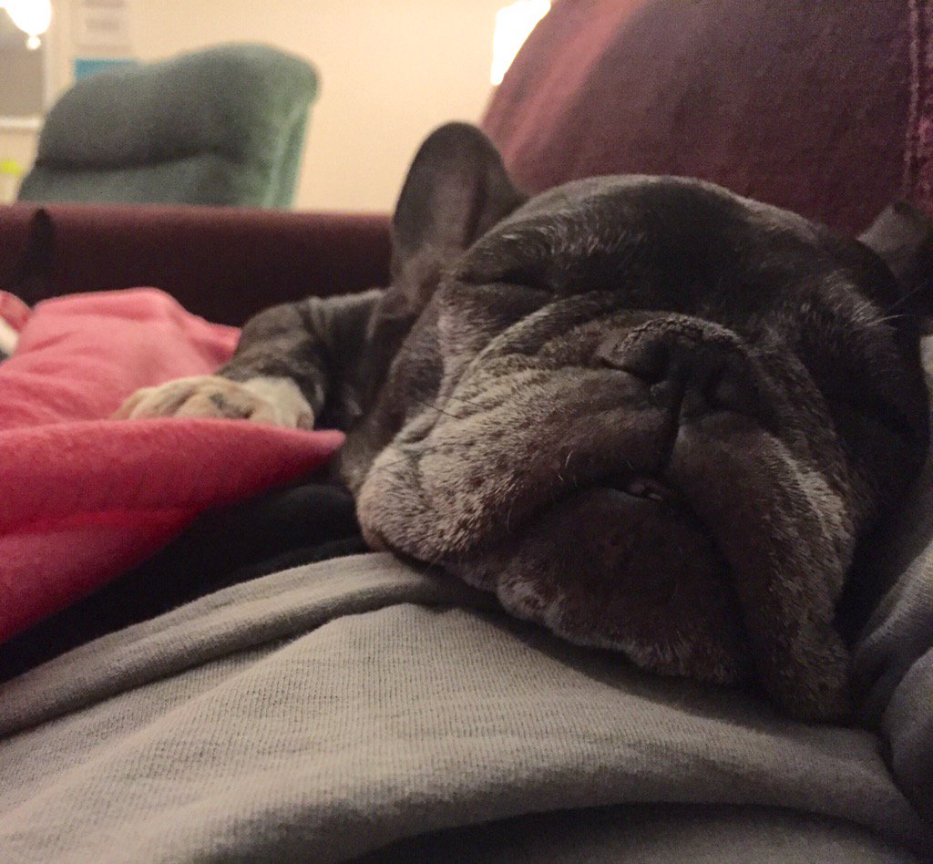 stuckerr's tweet image. What my Friday night has consisted of 👵🏼💗🐶