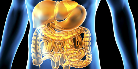 Nestle's tweet photo. #ICYMI: How to help the 100 trillion microorganisms in your body? Ecobiotics: https://t.co/mSjl3Ey4Cr https://t.co/RAwkvRaqx8