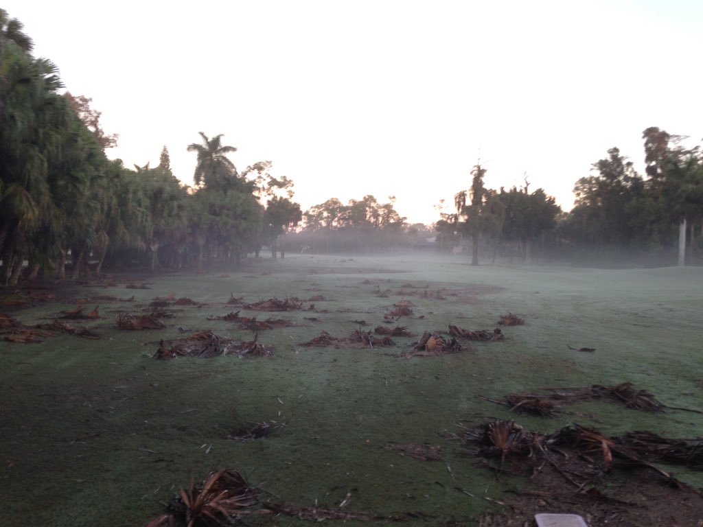 Total of 3.3" of rain yesterday, damaging winds. A lot of clean up today.