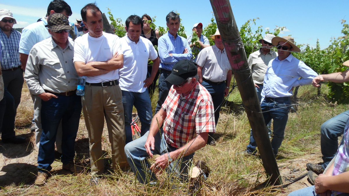 Jubilee 50 years ago I arrived in Griffith NSW to begin my career as a viticulturist. Still in the grip of the grape