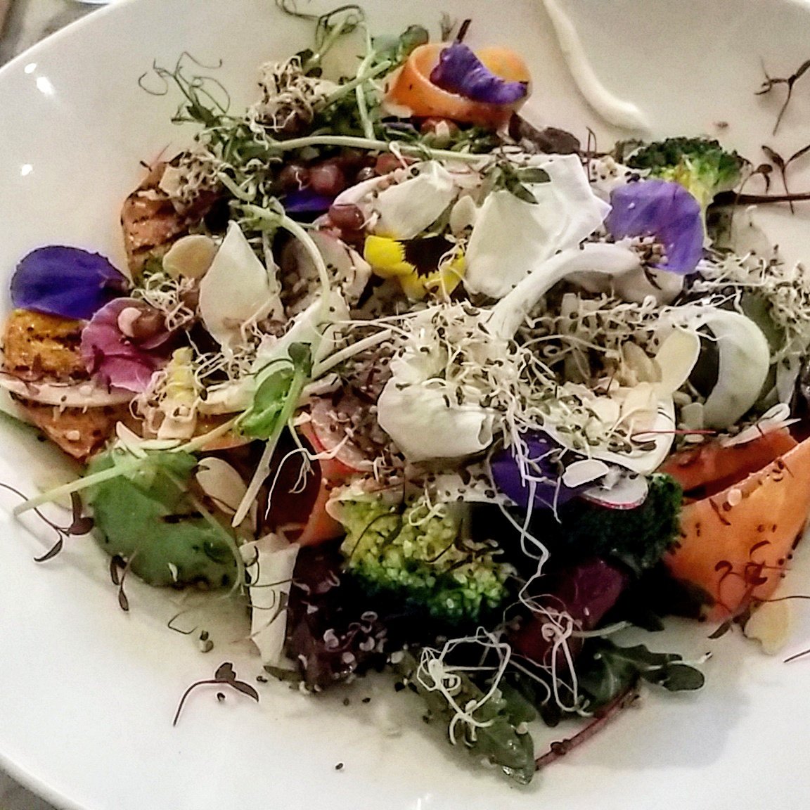 threadsandbread's tweet photo. Vegan shoots salad from #Avoca https://t.co/skJBNnISPg