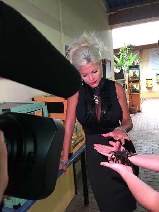 Sophia hat sich schon in Deutschland probiert. 🕷🐜🐍 Wie findet ihr schl&auml;gt sich Sophia bis jetzt im #Dschugelcamp<a href="/tag/dschugelcamp"class="tags"><span>#dschugelcamp</span></a>