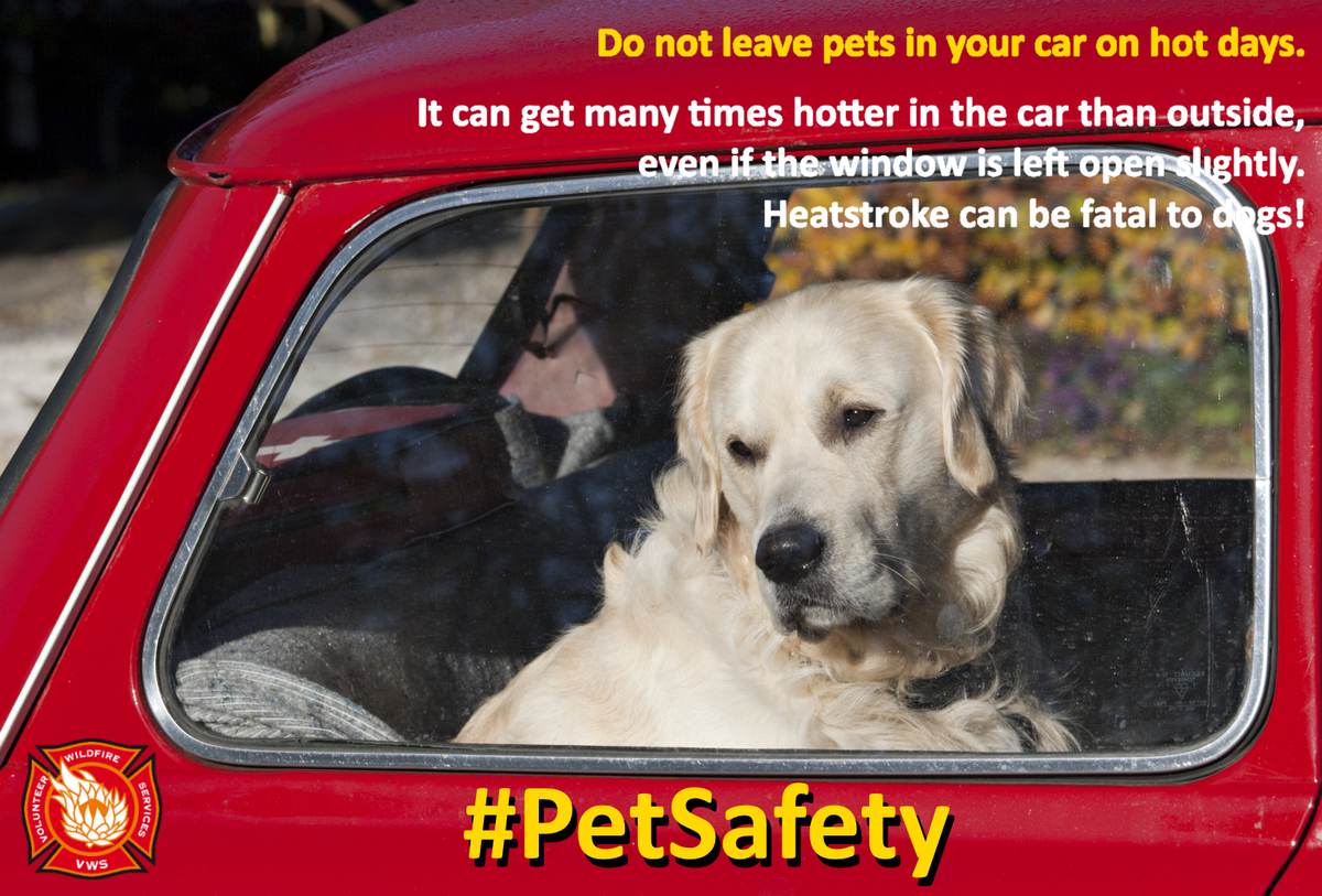 In a #heatwave, it's not just people who struggle, many pets do to. Please think #PetSafety. <a href="/KFMza/">kfmza</a> <a href="/capespca/">Cape of Good Hope SPCA</a>
