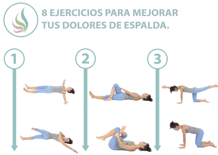 👍Los 3 MEJORES ejercicios para la ESPALDA ALTA Mejora tus dolores de  espalda alta😉 