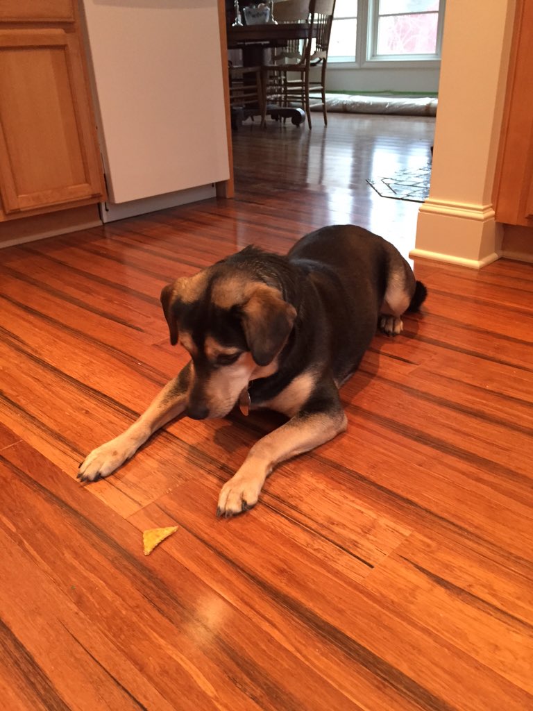 Happy Birthday Lily! Enjoying some homemade birthday cookies! #4for4 (was only allowed 1 at a time)
