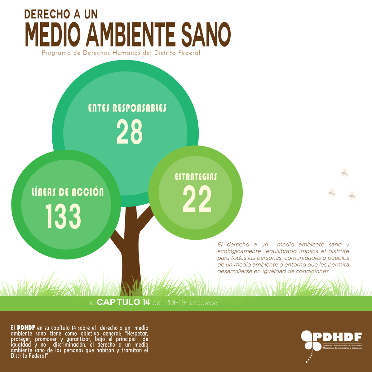 PDHCDMX's tweet photo. El derecho a un #MedioAmbienteSano está  previsto en el #Capitulo14 del #PDHDF https://t.co/DksX0VkvAg