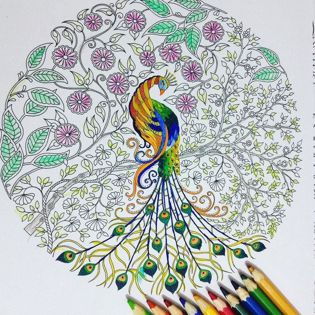 InstaTuva's tweet image. #тыуникален #твори_добро 🌤 #тува