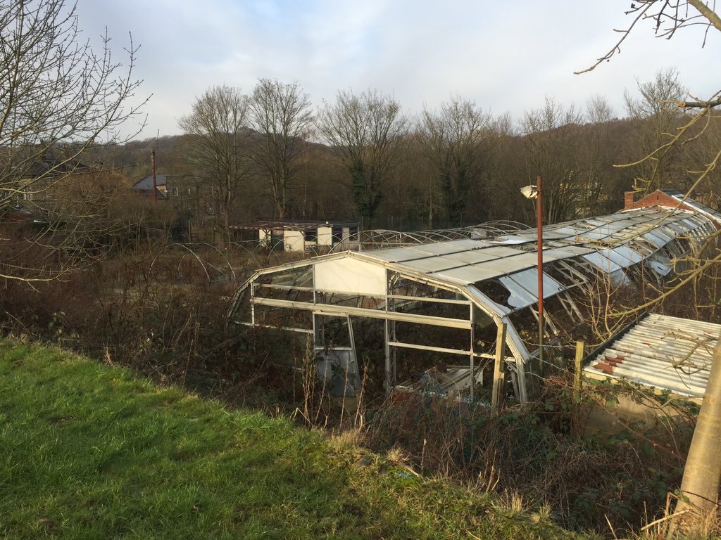 SaltaireTrees's tweet photo. Dilapidated space - ideal for trees. A community orchard? https://t.co/r0t3RbSrSH