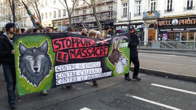 Voir l'image sur Twitter