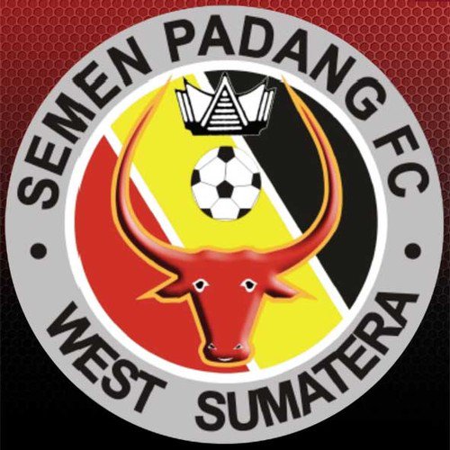 provinsiSUMBAR's tweet photo. Alhamdulillah, Semen Padang FC melaju ke Final! 

#AyoKabauSirah 
Buek bangga Ranah Minang https://t.co/UzGKqSZ8Cd