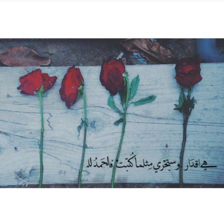 ونعلمُ يا الله أنك لا تجعل أحد من خلقك تائهاً، ونعلمُ أن لُطفك يحيطنا حيثما كنا وأينما سعينا فلا نضلّ ولا نحزن .