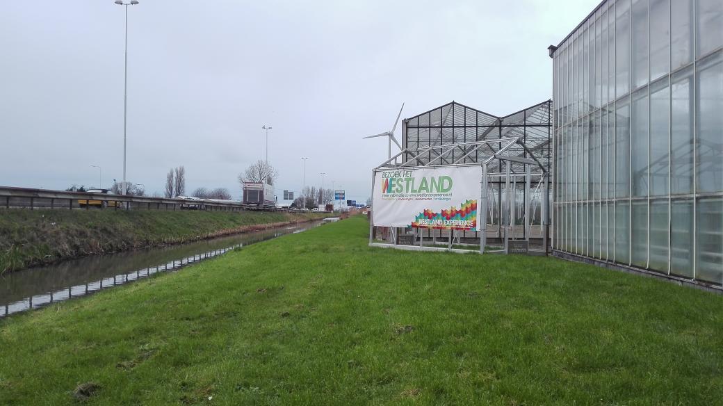 Westland Experience tweet media