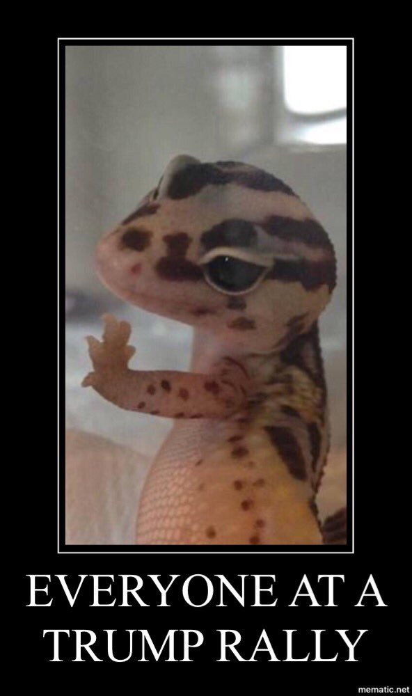 louiselikescats's tweet image. #van4 #ImprezUS