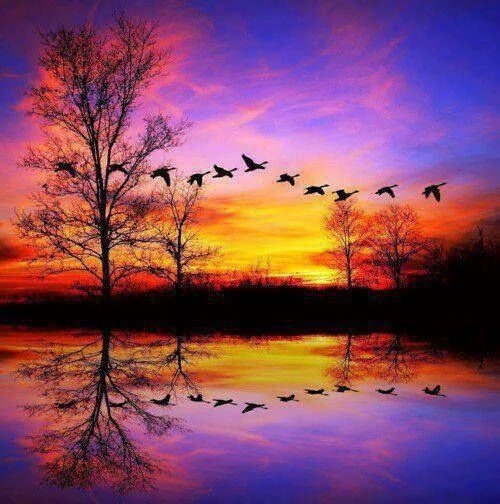 💛💛Ghazi.F.A💛 tweet media