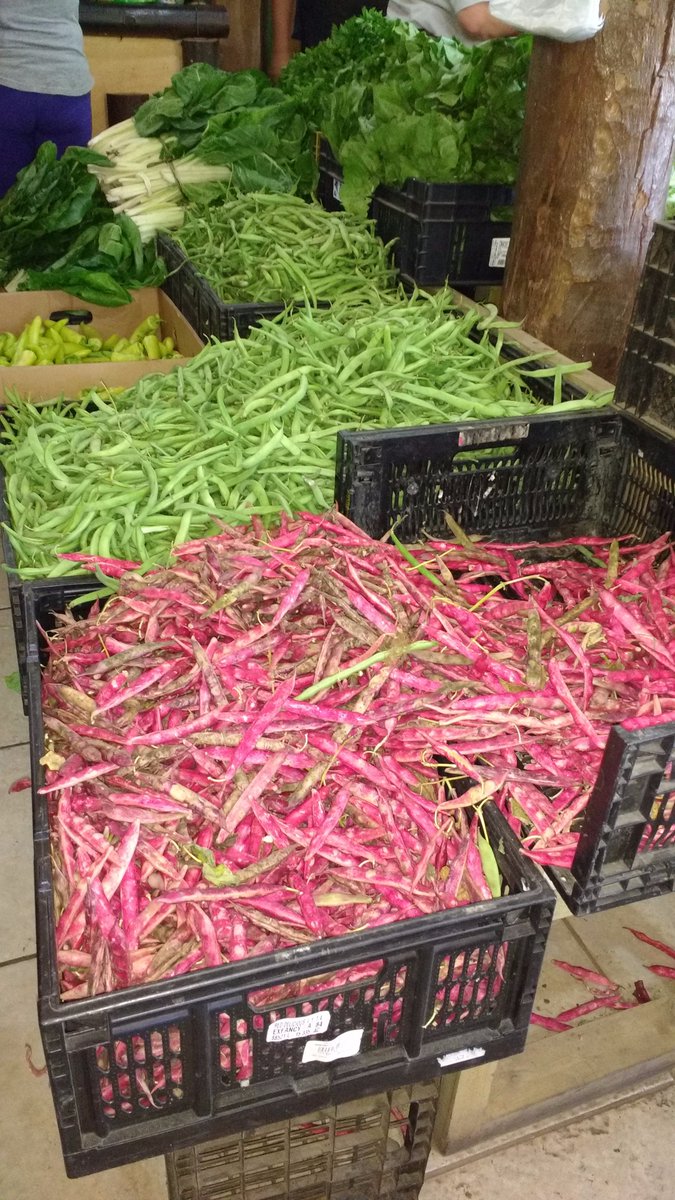 colorizandoHist's tweet photo. @LosAngeles_CL @LosAngelesCL @TuiterElei Excelentes frutas y verduras frente al Unimarc de Marconi, #noalacolusion https://t.co/GXAk8fq5je