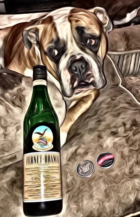 DetroitDivaDebi's tweet photo. #fernetface #bigchew #fernetbranca https://t.co/T2X0lhbE78