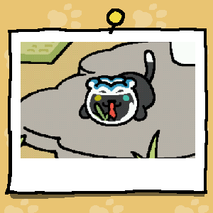 eddieguakerro's tweet photo. #ねこあつめ https://t.co/1dntZSseOm