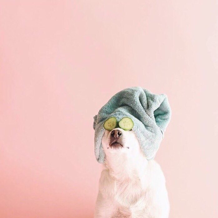 A Sunday state of mind. #weekendvibes