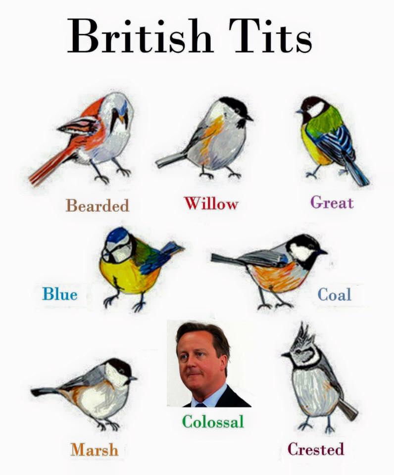 Bird Chart Uk