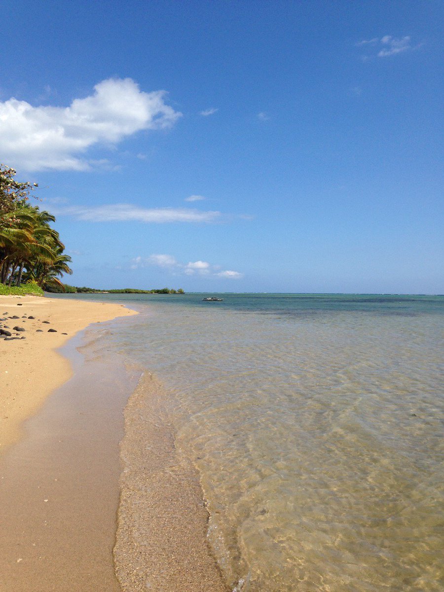 FishDaBeach tweet picture