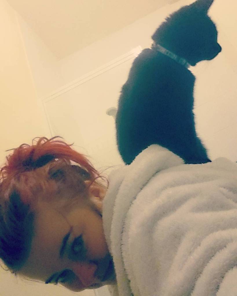 circlingsquare's tweet photo. Loki likes to be a parrot every now and then #catstagram #kittensofinstagram #cats #kitten #catlover #catbestfriend… https://t.co/kuVKFAHAHE