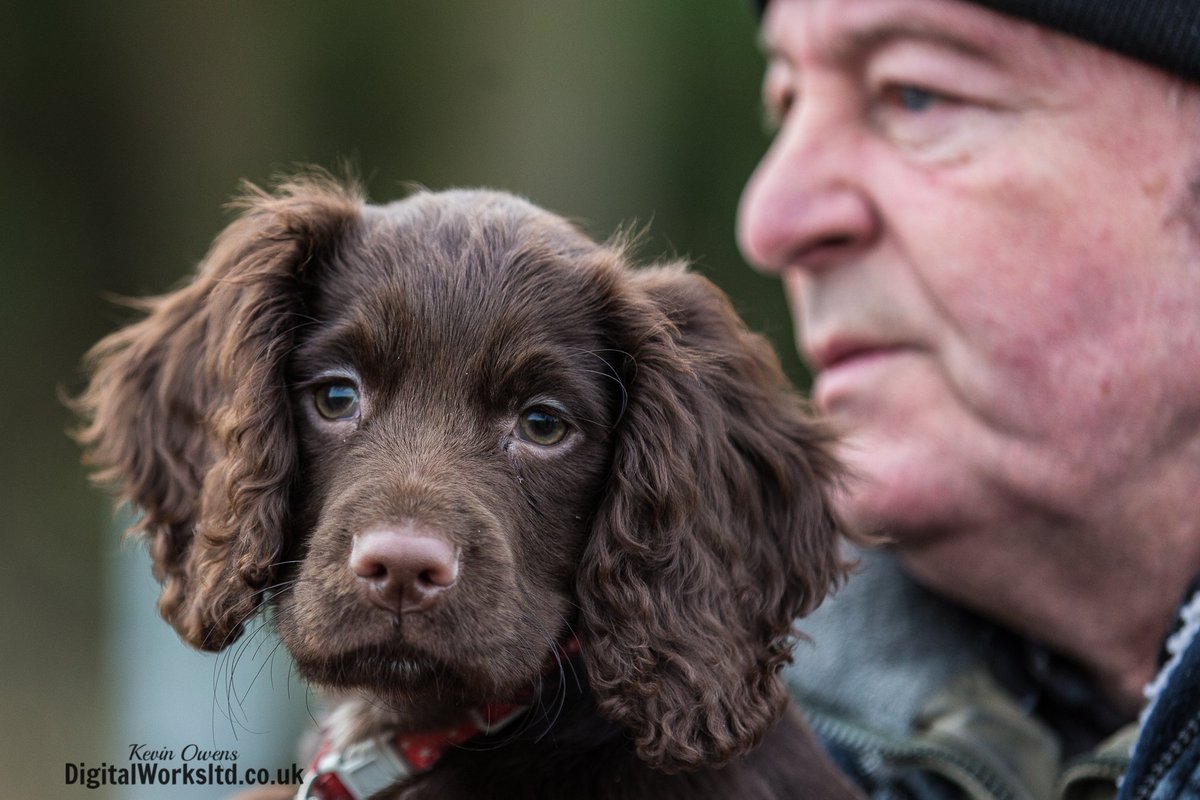Gsxr1000UKKO's tweet photo. Braes of Derwent @CAupdates @horseandhound @keephunting_ @bailyshunting @HoundsPlease #ryanmania https://t.co/M9k3Cv0Biq