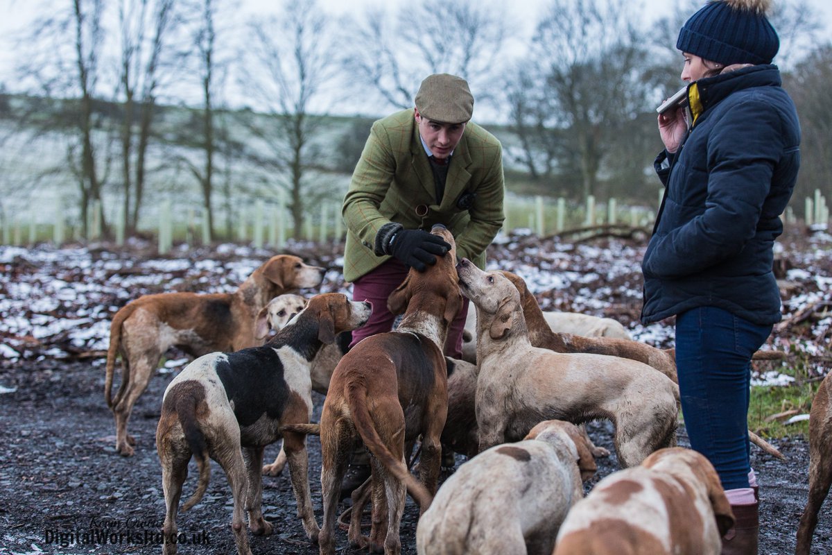 Gsxr1000UKKO's tweet photo. Braes of Derwent @CAupdates @horseandhound @keephunting_ @bailyshunting @HoundsPlease #ryanmania https://t.co/ge5eh2dc8H
