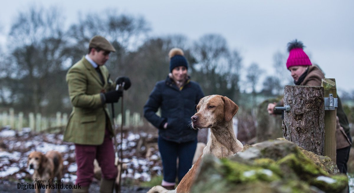 Gsxr1000UKKO's tweet photo. Braes of Derwent @CAupdates @horseandhound @keephunting_ @bailyshunting @HoundsPlease #ryanmania https://t.co/ge5eh2dc8H