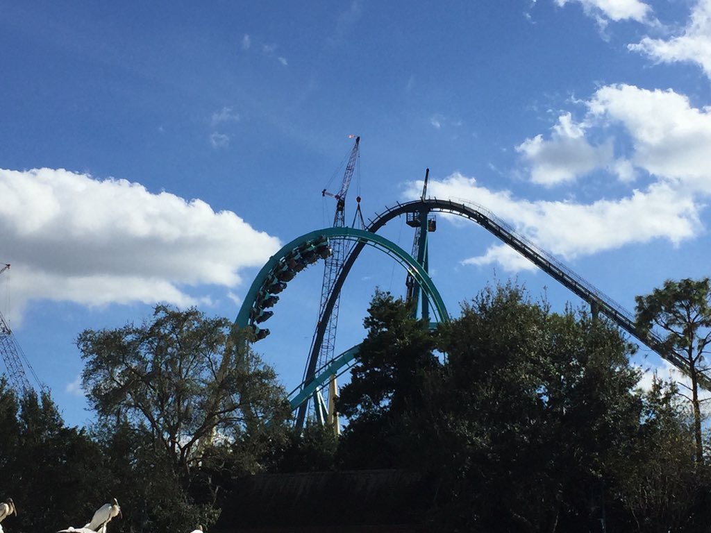 CY3RCf6WUAAXFk6.jpg:large