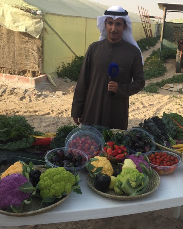 alkraibani's tweet photo. 🌴 🌴 غدا الاحد لقائي في مساء الخير ياكويت تلفزيون الكويت الساعة سبع وحديث عن زراعة النوادر 🌴 🌴 تابعونا 🌴 🌴 https://t.co/STBTOMMFLS