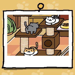 marvinthecat6's tweet photo. #ねこあつめ https://t.co/ZmAiyPXk2L
