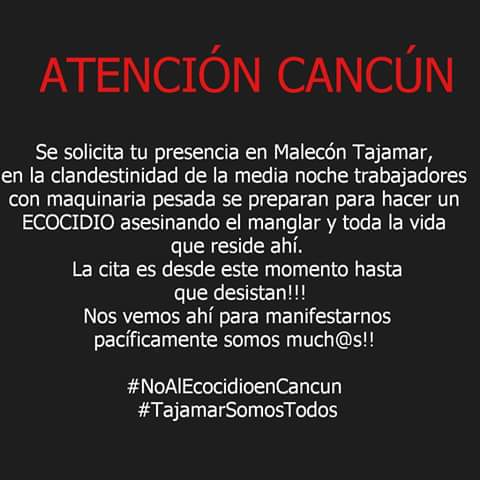 _SugeidyC's tweet photo. No es justo que por la avaricia de unos cuantos las generaciones futuras paguen.
#MaleconTajamar #ecosidioEncancun https://t.co/e216YDi2BC