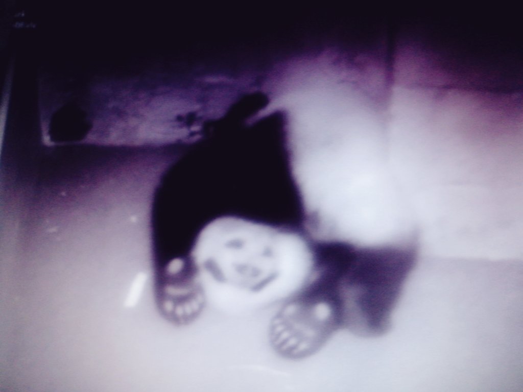 susicon1's tweet photo. A little bit of yoga aftet a stressed da y #houseofcubs #BeiBei #pandastory #beibut https://t.co/hl0kWPQeOP