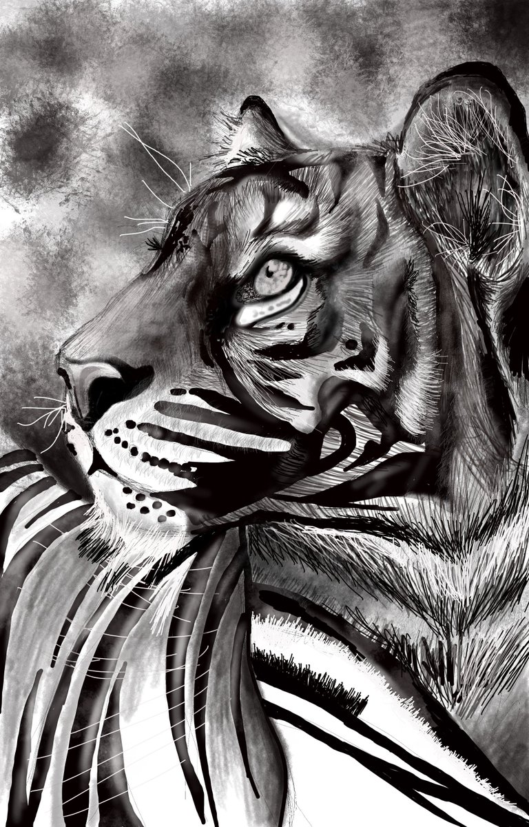 I haven't posted anything in a while! Here is my unfinished attempt at #Digital #drawing :) #art #Tigers #BigCats