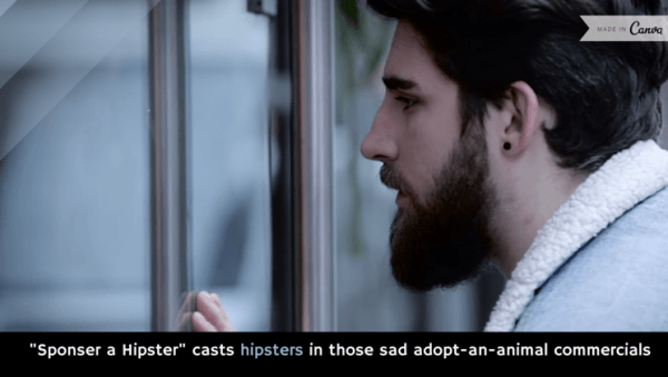 sponsor a hipster casts hipsters in those sad adopt an animal